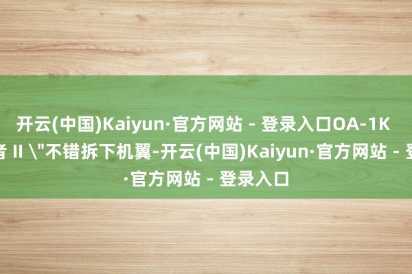 开云(中国)Kaiyun·官方网站 - 登录入口OA-1K ＂天袭者 II ＂不错拆下机翼-开云(中国)Kaiyun·官方网站 - 登录入口